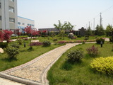 公司室外花園.JPG